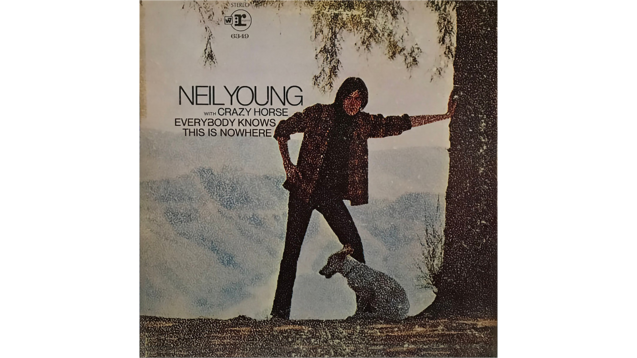 Neil Young – Cinnamon Girl